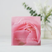 ピンクのバラ • 結婚式の日程予告 セーブザデート (スタンド正面)