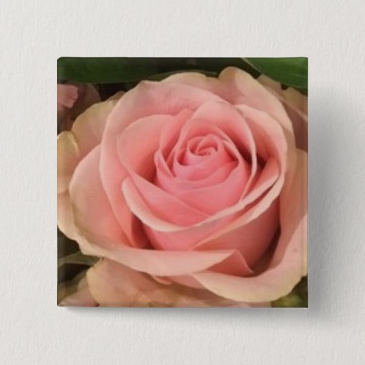 ピンクのバラ 缶バッジ (正面)