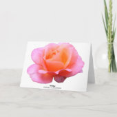 ピンクのバラ – 青 カード (裏面)