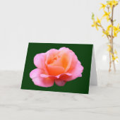 ピンクのバラ – 青 カード (黄色い花)
