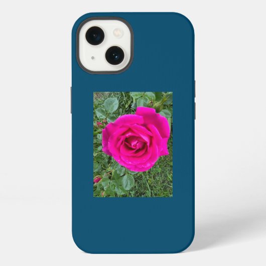 ピンクのバラ#3 iPhone/iPadケース iPhoneケース (裏面)