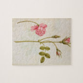 ピンクのバラ、c.1568 ジグソーパズル (横)