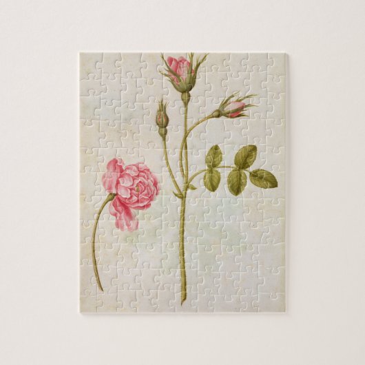 ピンクのバラ、c.1568 ジグソーパズル (縦)