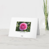 ピンクのバラ "Mum in a Million"、ロス公園、カーディフ カード (裏面)
