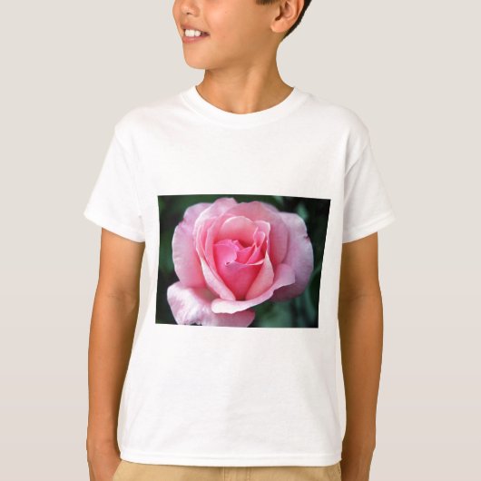 ピンクのバラ Tシャツ (正面)