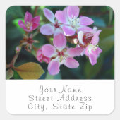 ピンクのバレリーナの花のラベル スクエアシール (正面)