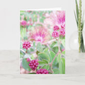 ピンクのパウダーパフの花と緑の葉 カード (正面)