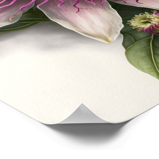 ピンクのパッションフラワーアートプリントポスター ポスター (角)