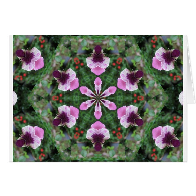 ピンクのパンジー (正面横)