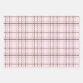 ピンクのパーティー猫誕生日ストライプ、プライド ラッピングペーパーシート (正面2)