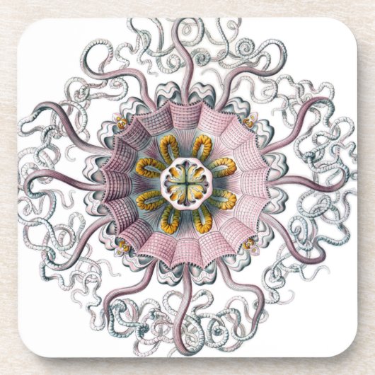 ピンクのヒトデ コースター (正面)
