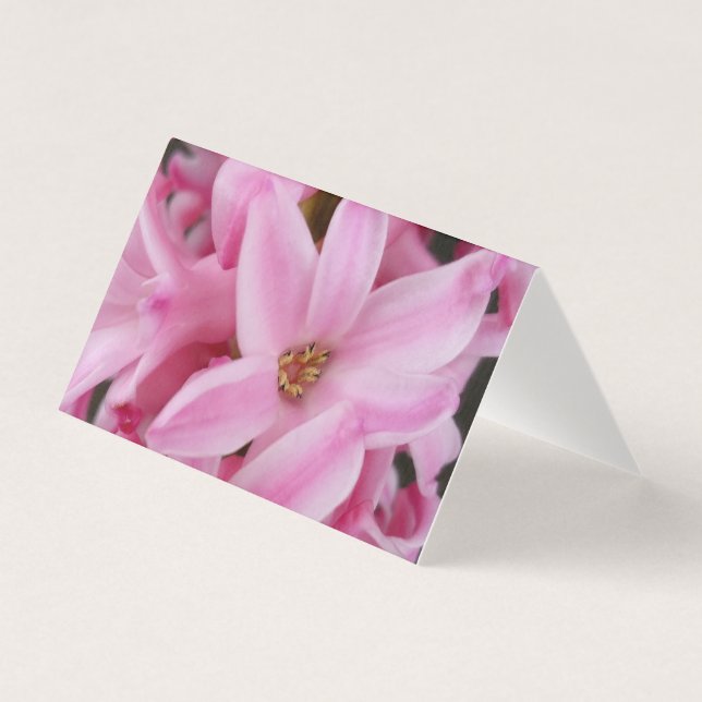 ピンクのヒヤシンスの花 (正面)