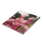 ピンクのピッチャー植物 タイル (側面)