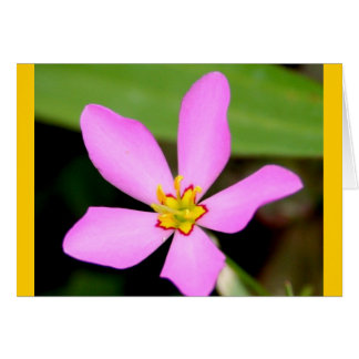 ピンクのファンキーな花