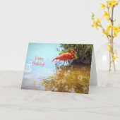 ピンクのフラミンゴが水の中で歩くハッピーバースデー カード (黄色い花)