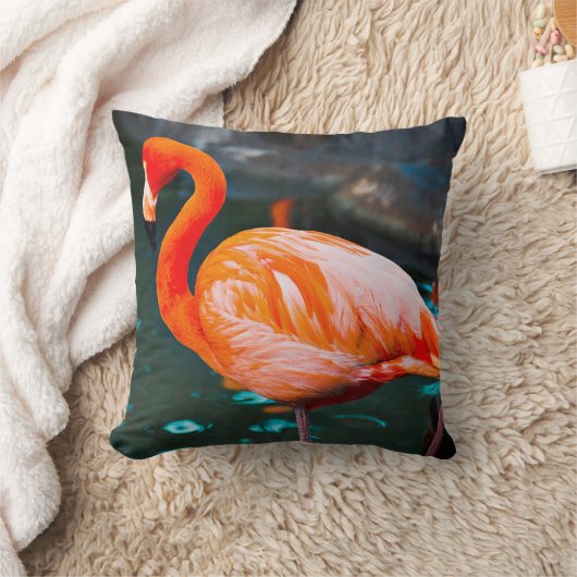 ピンクのフラミンゴの鳥の写真が美はっきりしたしい クッション (ブランケット)