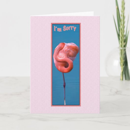 ピンクのフラミンゴを巻き付けてごめんなさい カード (正面)
