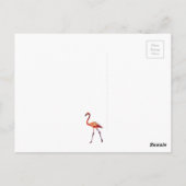 ピンクのフラミンゴスグリーティングポストカード ポストカード (裏面)