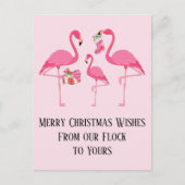 ピンクのフラミンゴスメリークリスマス シーズンポストカード (正面)