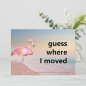 ピンクのフラミンゴビーチサンセットアンケート場所 案内状 (スタンド正面)