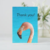 ピンクのフラミンゴ顔の青い水に対して サンキューカード (スタンド正面)