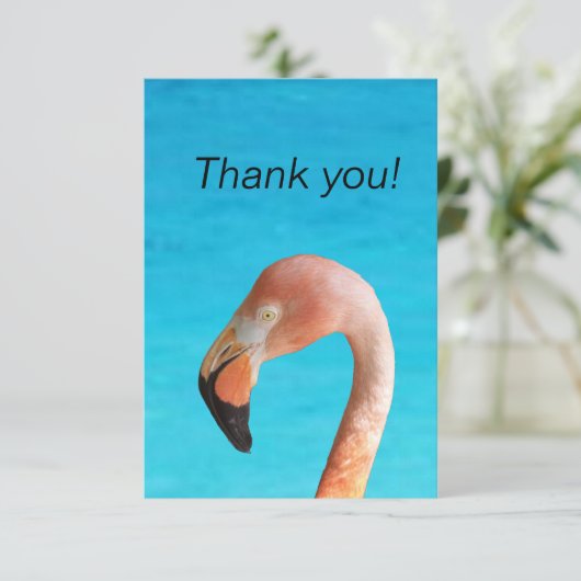 ピンクのフラミンゴ顔の青い水に対して サンキューカード (スタンド正面)