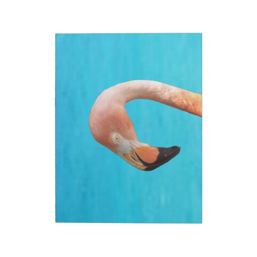 ピンクのフラミンゴ顔の青い水に対して ノートパッド (回転)