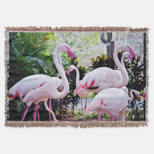 ピンクのフラミンゴ スローブランケット
