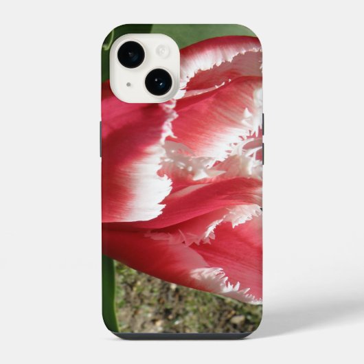 ピンクのフリルのチューリップ iPhoneケース (裏面)