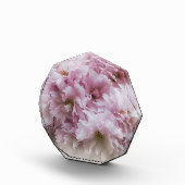 ピンクのフリル フォトブロック (右)