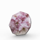 ピンクのフリル フォトブロック (左)