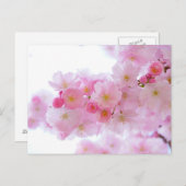ピンクのフローラはがき ポストカード (正面/裏面)