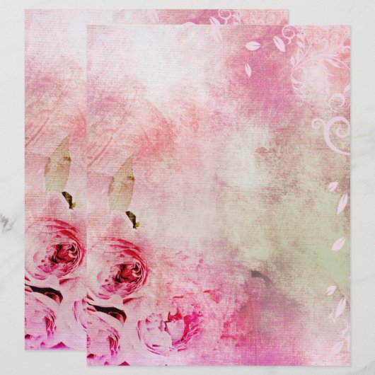 ピンクのフローラバラ (正面/裏面)