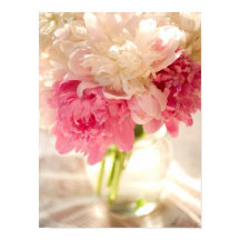 ピンクのフローラ値ポスター紙（マット）