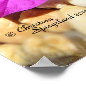 ピンクのブーゲンビリア花の小石のポスター ポスター (角)