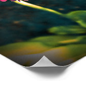 ピンクのプリムラ花 ポスター (角)