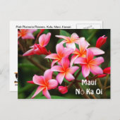 ピンクのプルメリアの花、マウイNōのKa Oi ポストカード (正面/裏面)