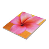 ピンクのプルメリアのFrangipaniのハワイの花のハワイアン タイル (側面)