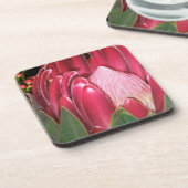 ピンクのプロテアの花 コースター (左側)