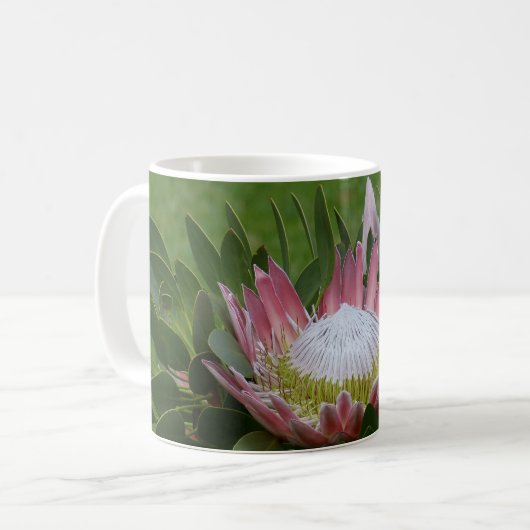 ピンクのプロテアの花 コーヒーマグカップ (正面左)