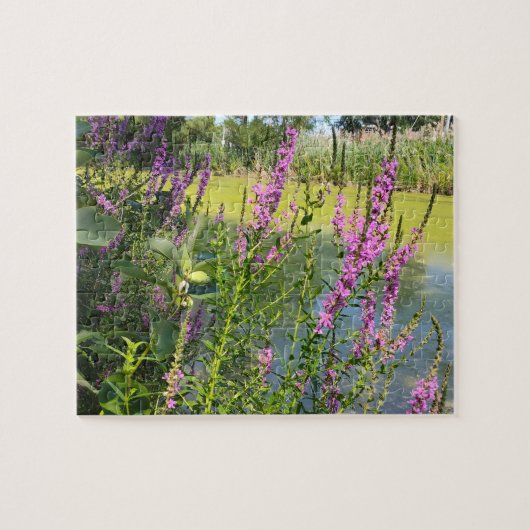 ピンクのヘチマ ジグソーパズル (横)