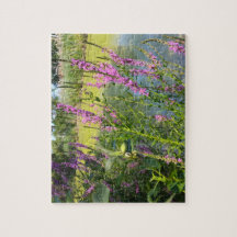 ピンクのヘチマ