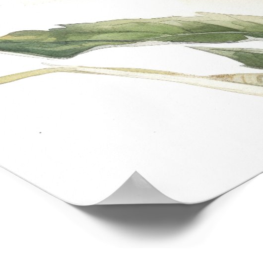 ピンクのベニバナ花アートプリントポスター ポスター (角)