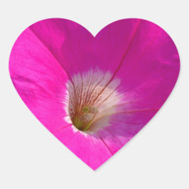 ピンクのペチュニアの花 ハートシール