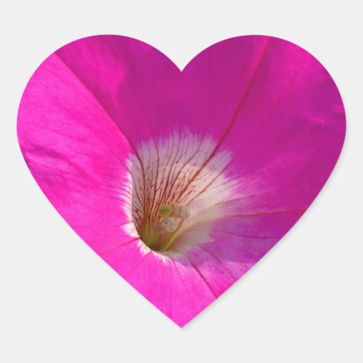 ピンクのペチュニアの花 ハートシール (正面)