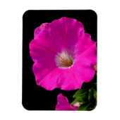 ピンクのペチュニアの花 マグネット (縦)