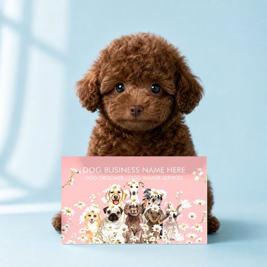 ピンクのペットフォトグラファー 犬の肖像画スタジオ 名刺