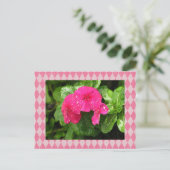 ピンクのペリウィンクルアーガイルはがき ポストカード (スタンド正面)