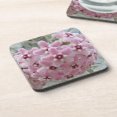 ピンクのホヤプラントフラワーズフローラ コースター (左側)