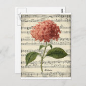 ピンクのホルテンシアを持つヴィンテージの植物葉書 ポストカード (正面/裏面)